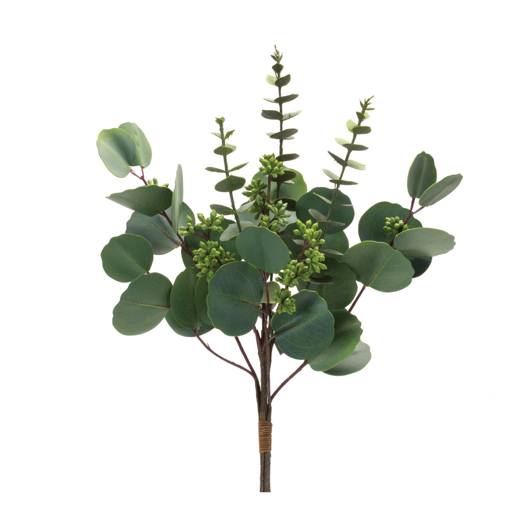 Mixed Eucalyptus Set