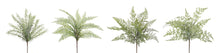 Load image into Gallery viewer, Fern Bush
