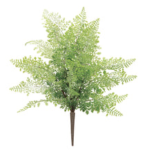 Load image into Gallery viewer, Fern Bush
